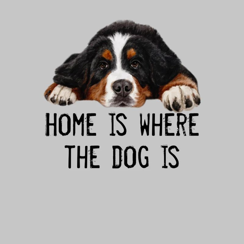 Berner Sennenhund