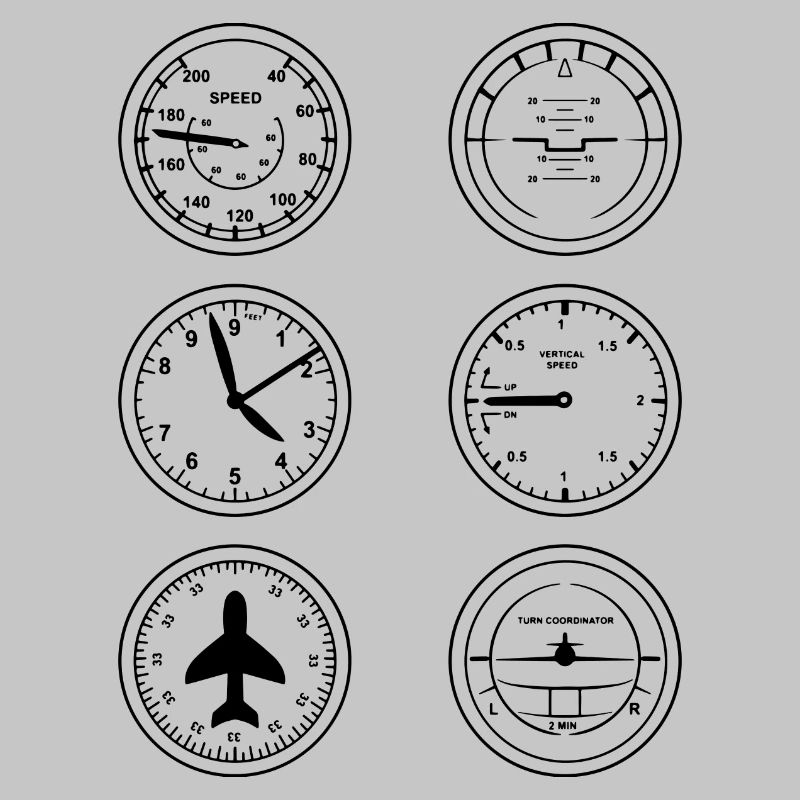 Fluginstrumente