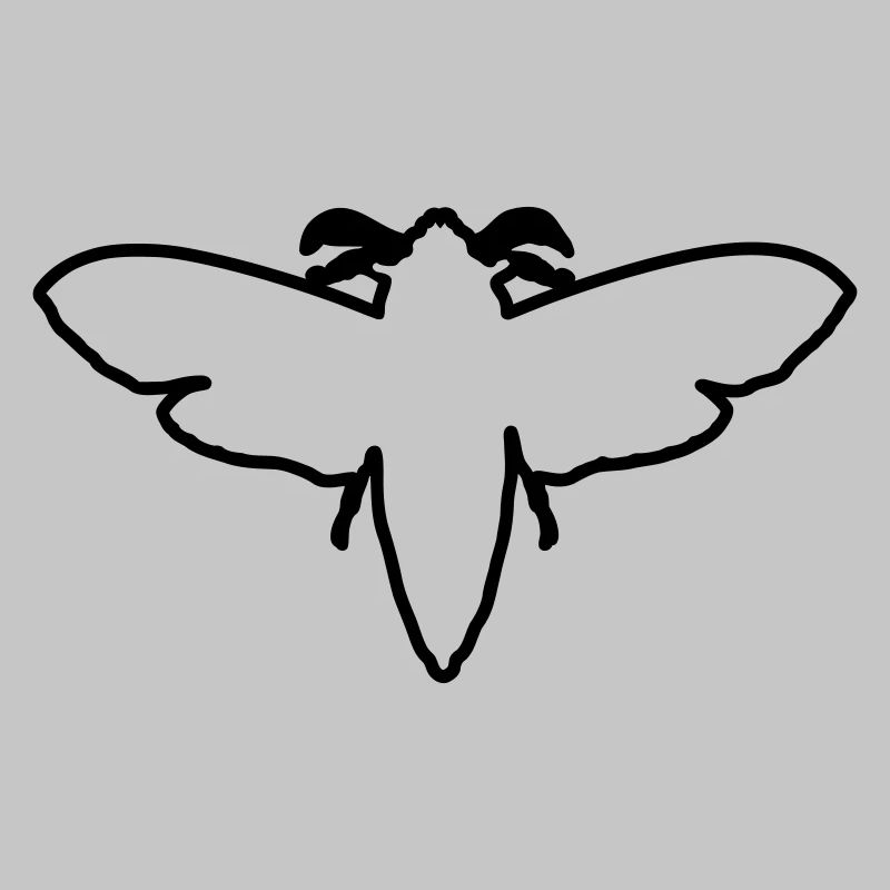 Motte 2