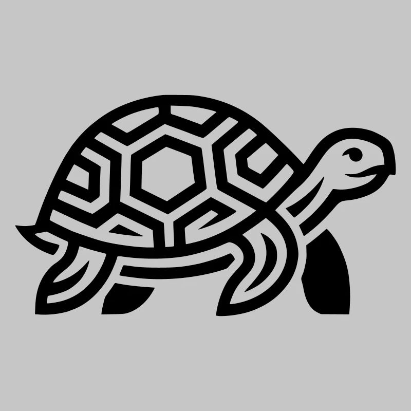tortoise