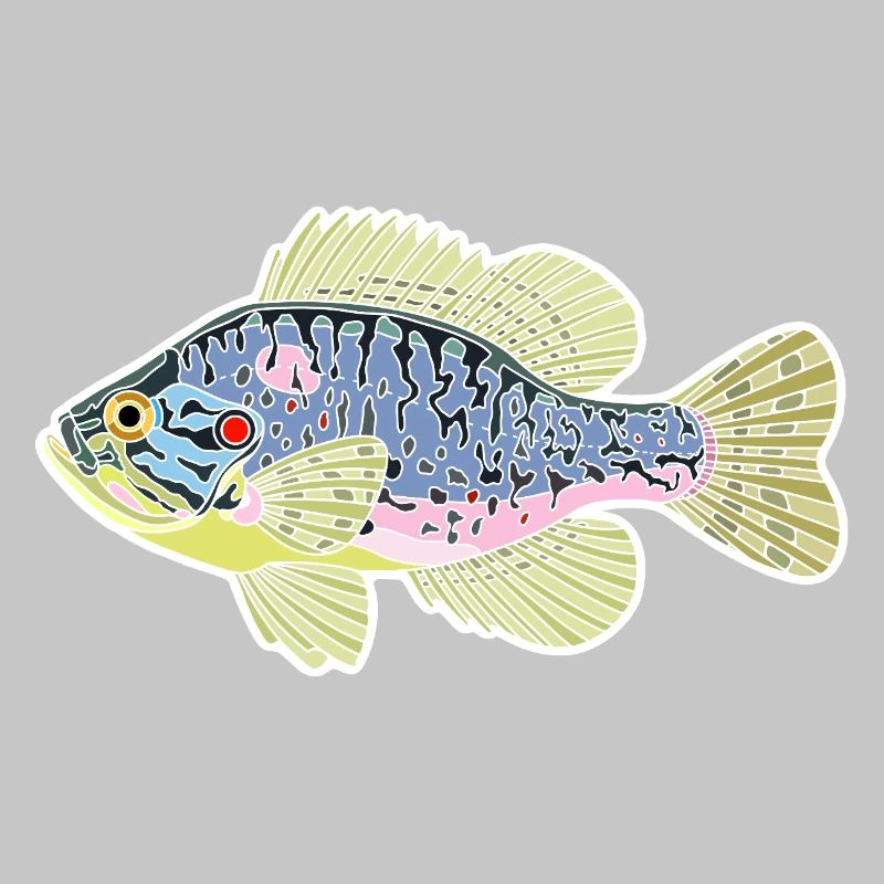 Sunfish