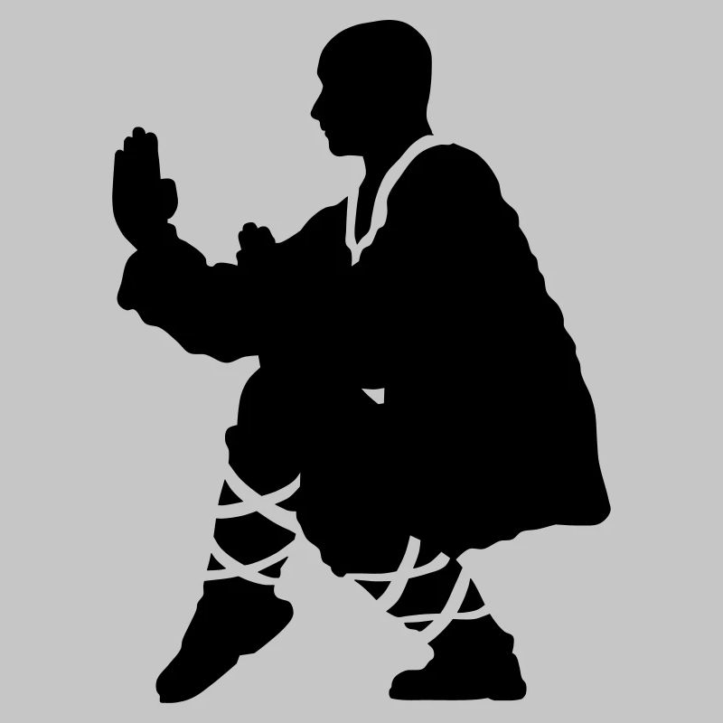 Kung fu Shaolin