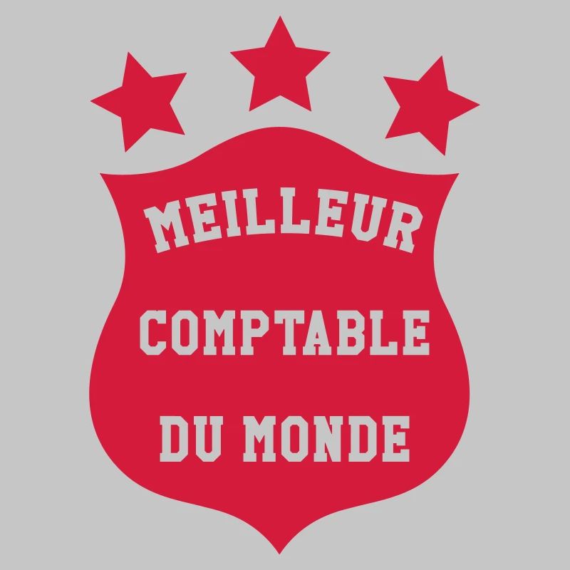 Accountant / Accounting / Comptable / Comptabilité