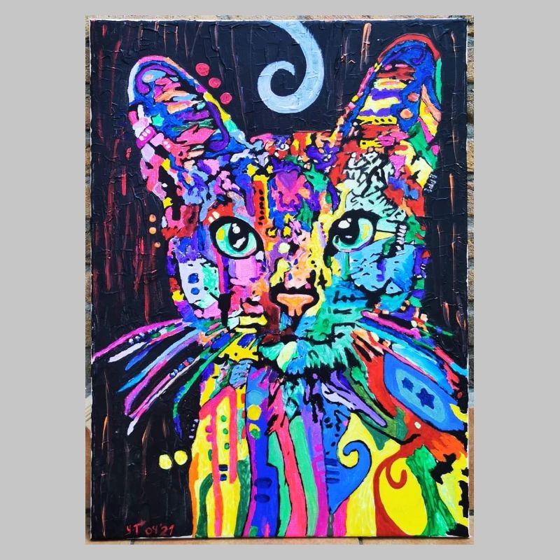 Katzenportrait mit Psychedelic-Design- Pop-Art