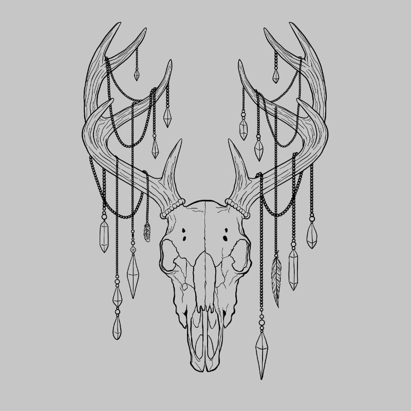 Deer antlers with crystals