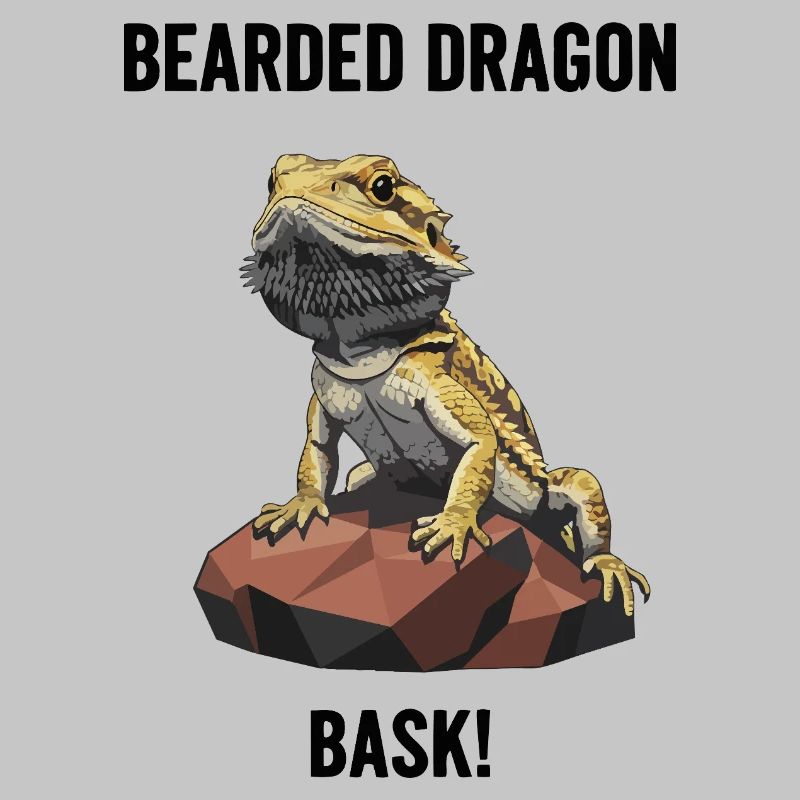 Agame Bearded Lizard Bask Bearded Dragon