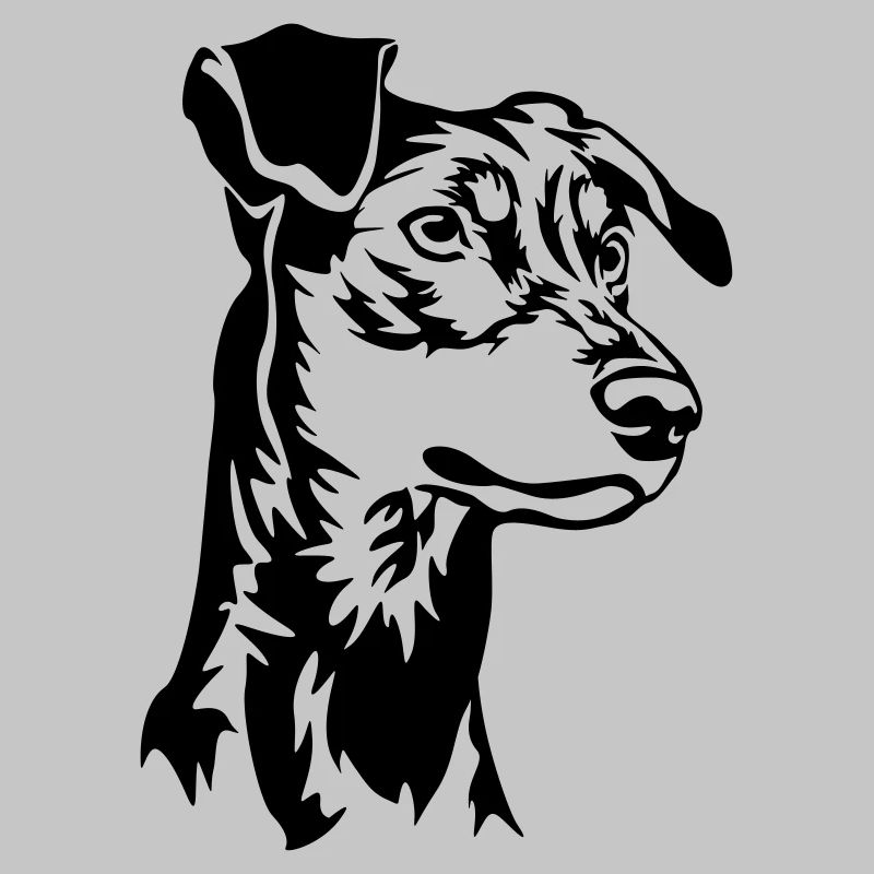 German pinscher head