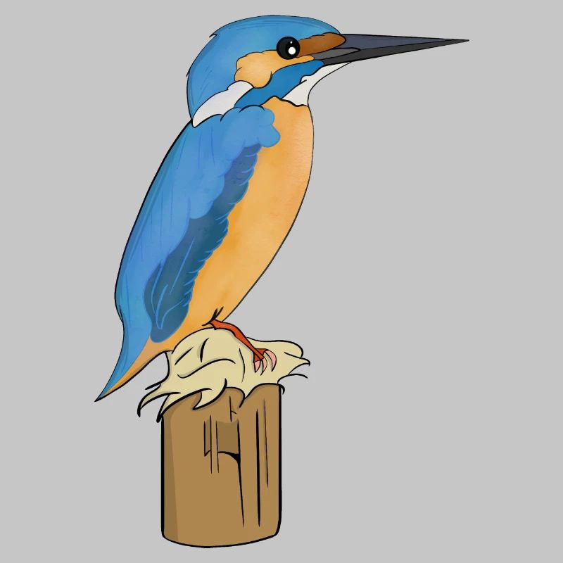 Eisvogel Vogel