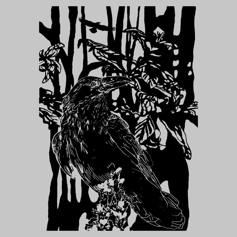 corbeau