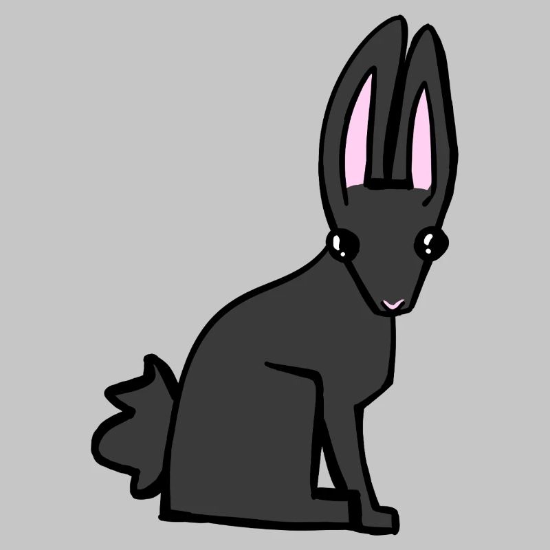 Lapin noir