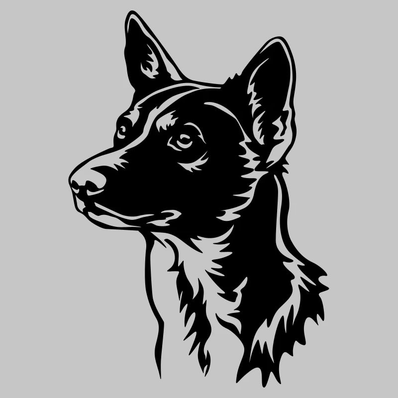Basenji Kopf