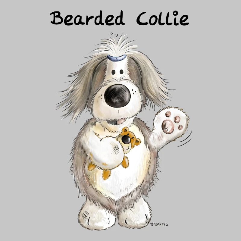 Bearded Collie With Teddy