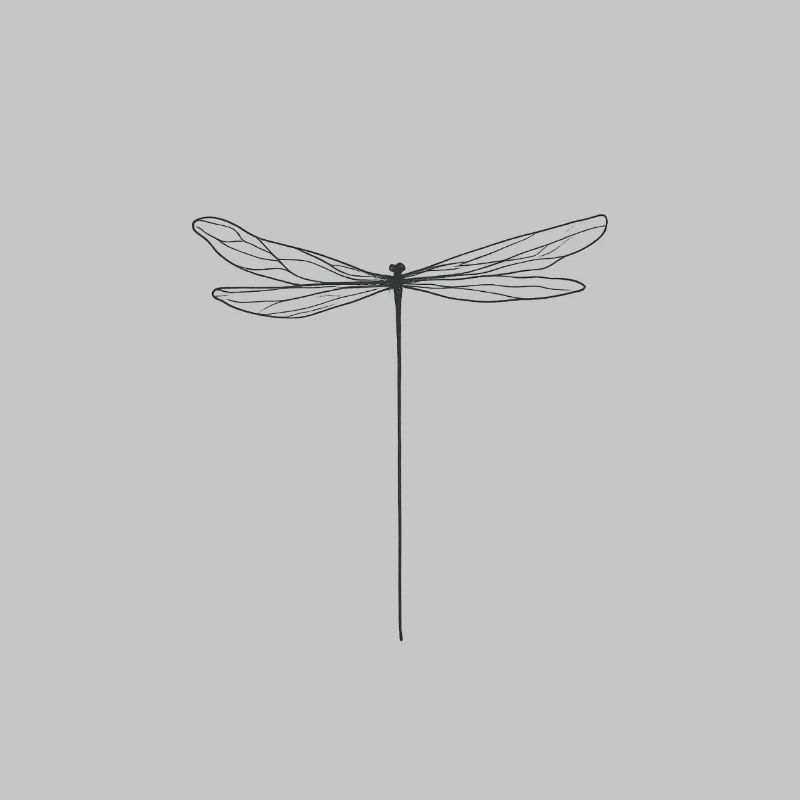 Finely drawn dragonfly in minimalist style