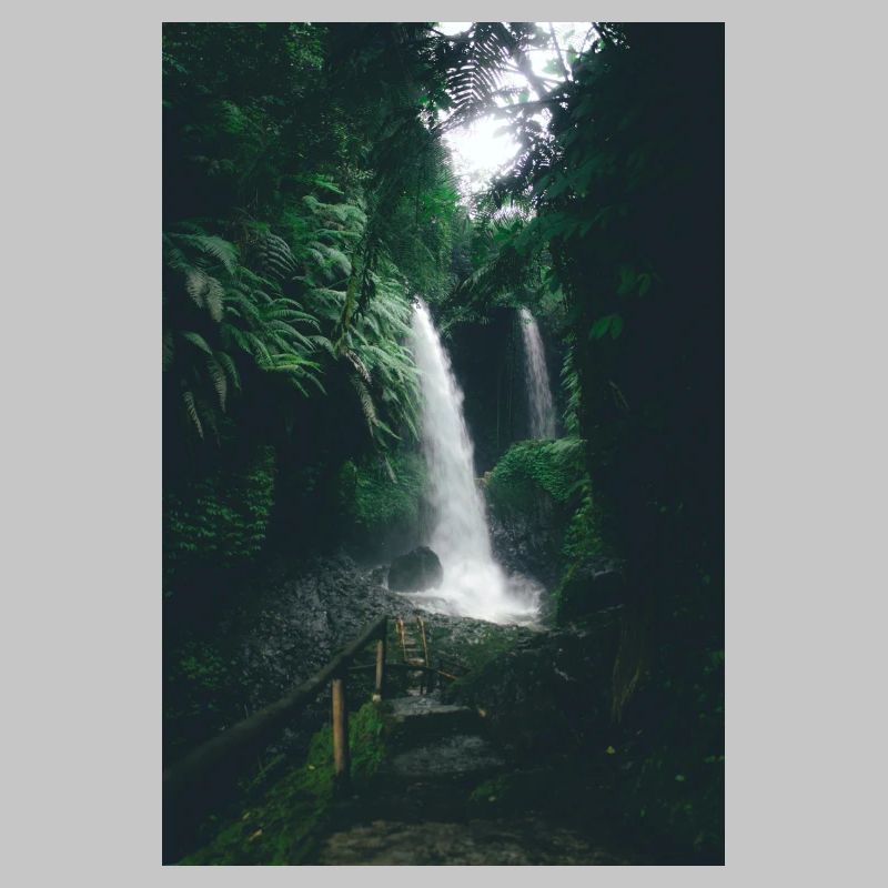 Cascade dans la Jungle Verte