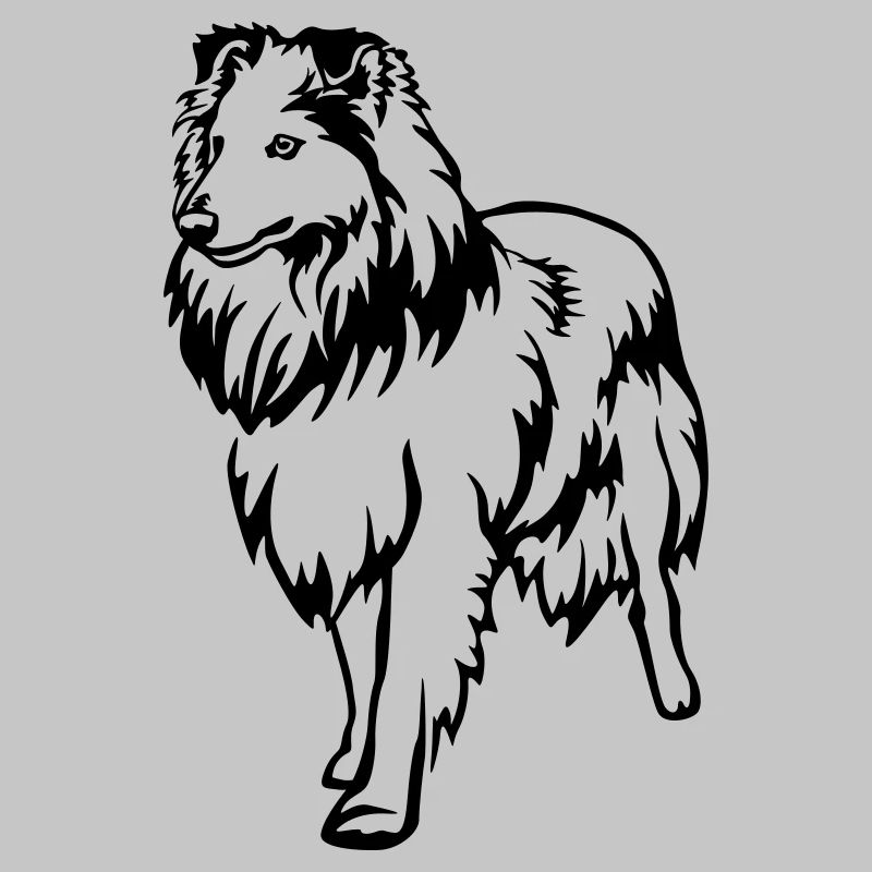 Sheltie