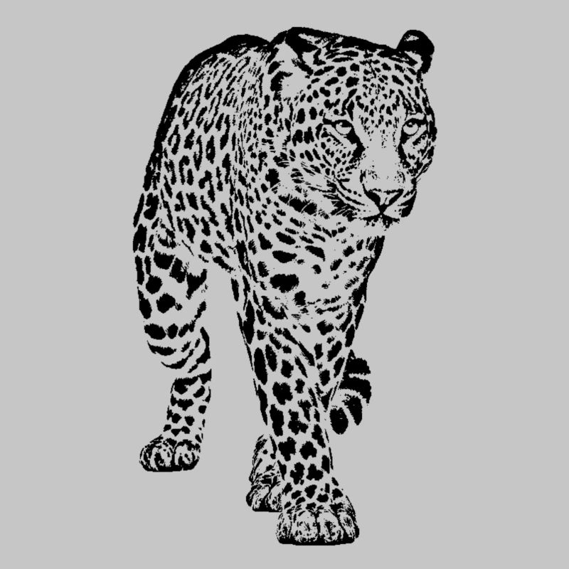 Leopard Tier