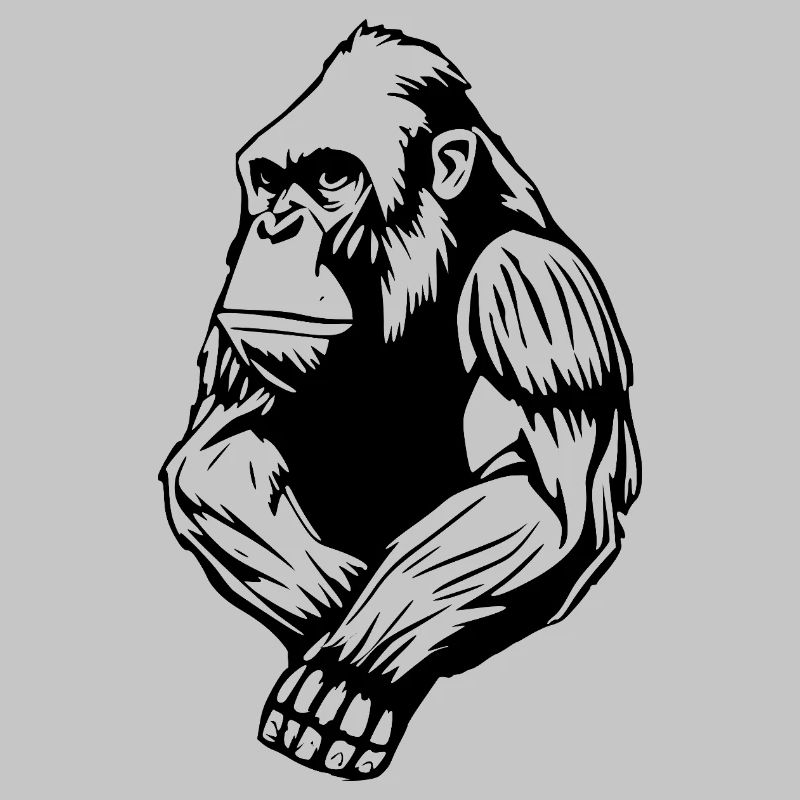 Monkey T-shirt Gift
