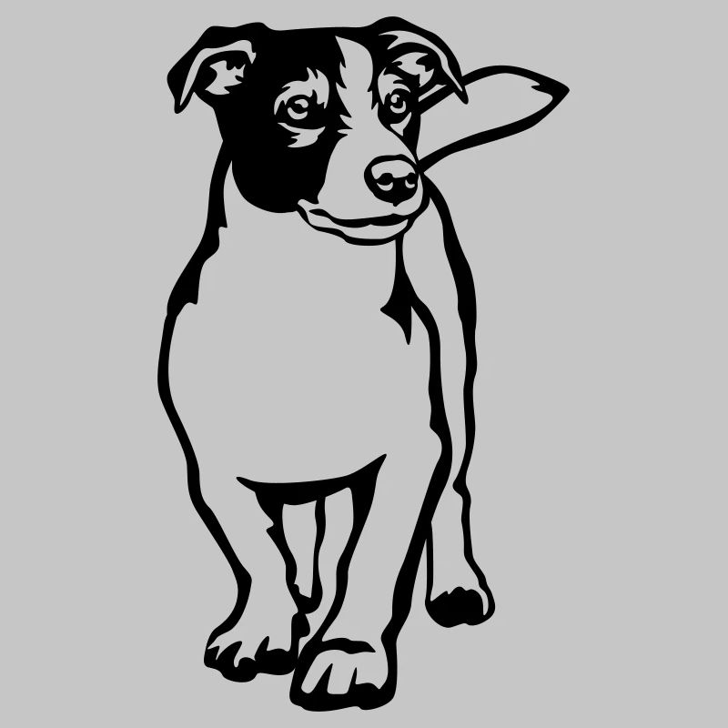 Jack Russell Terrier