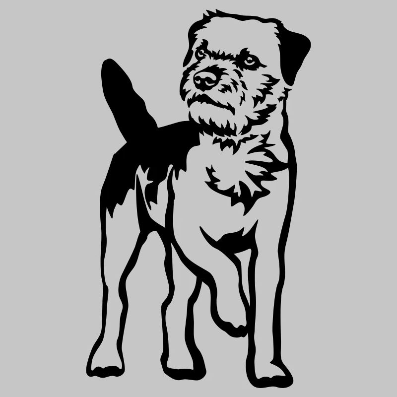 Border Terrier