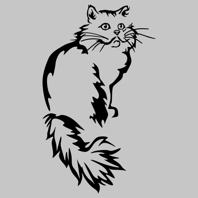 Persan - Chat persan