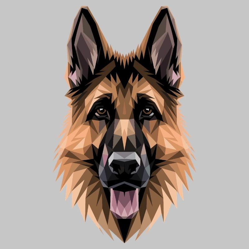 Schäferhund Hund Liebe Deutscher Schäferhund Hunde