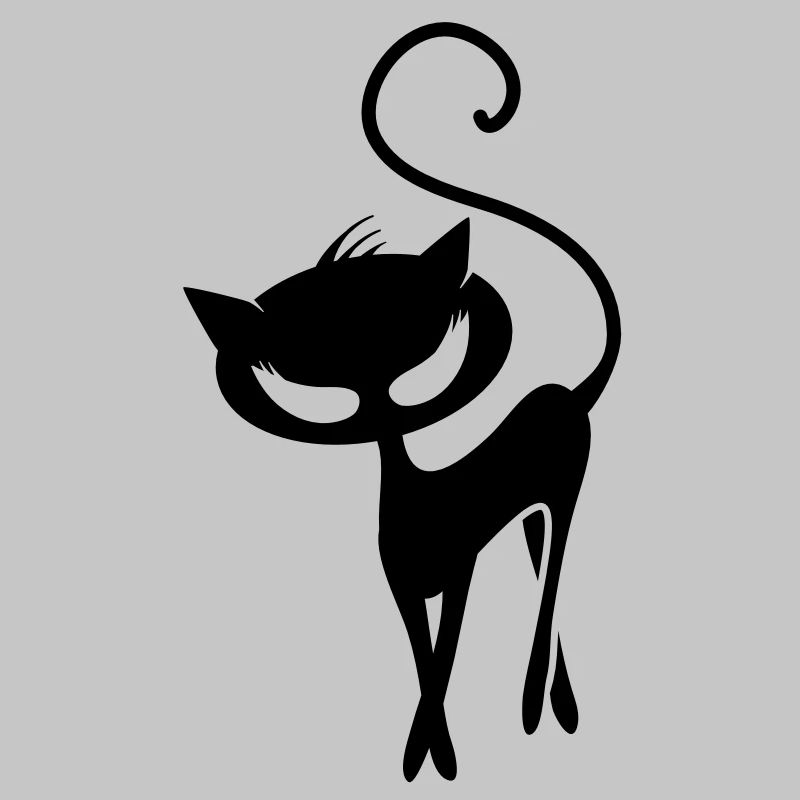 Un chat noir