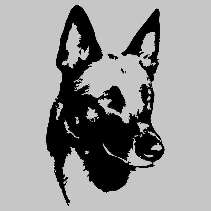 Tête de malinois