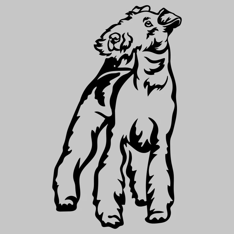 Foxterrier