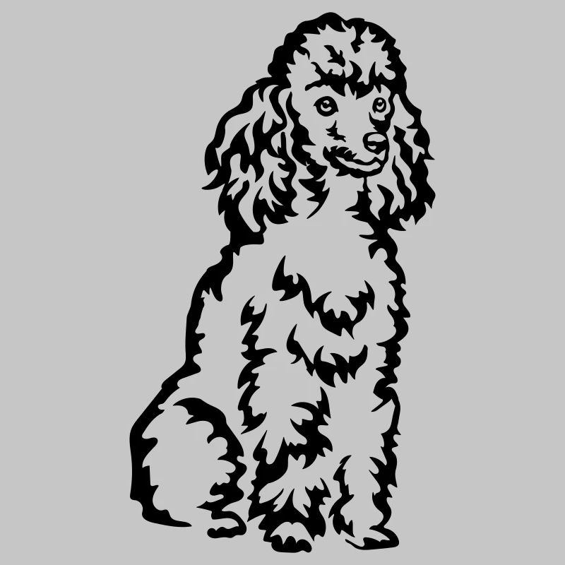 Poodle