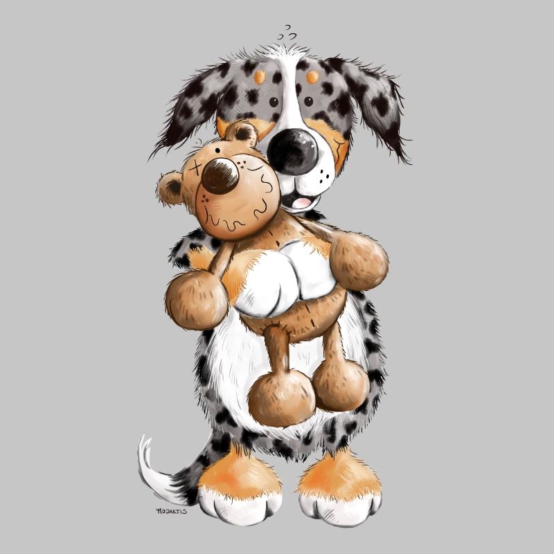 Australian Shepherd mit Teddy