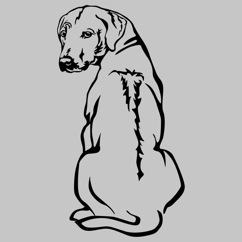 Rhodesian Ridgeback