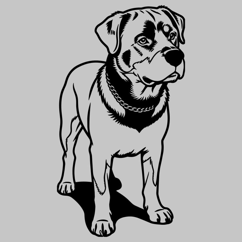 Rotweilerhund