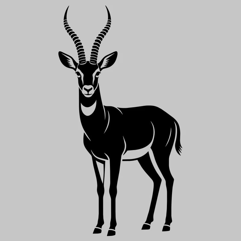antelope