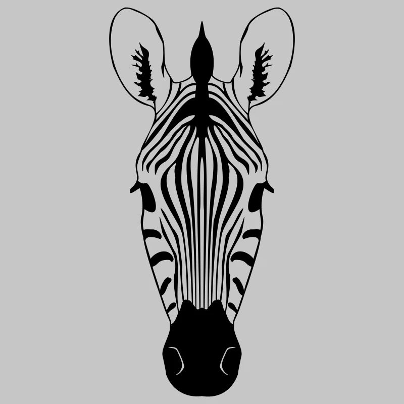 Zebra Illustration