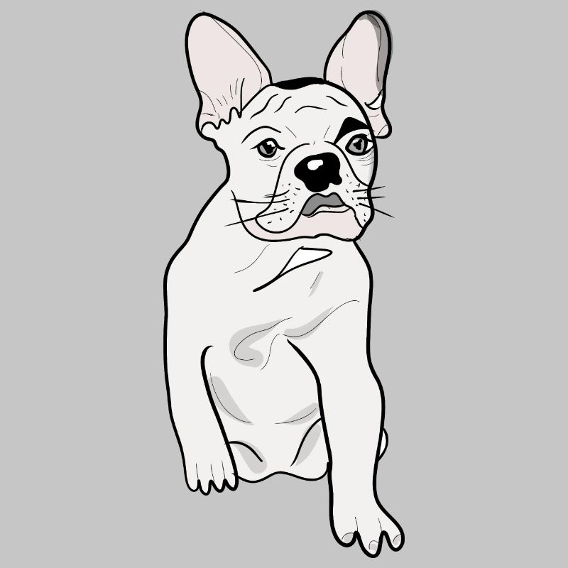 CUTE PUG