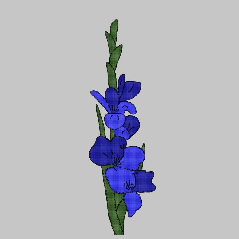 Gladiole blau