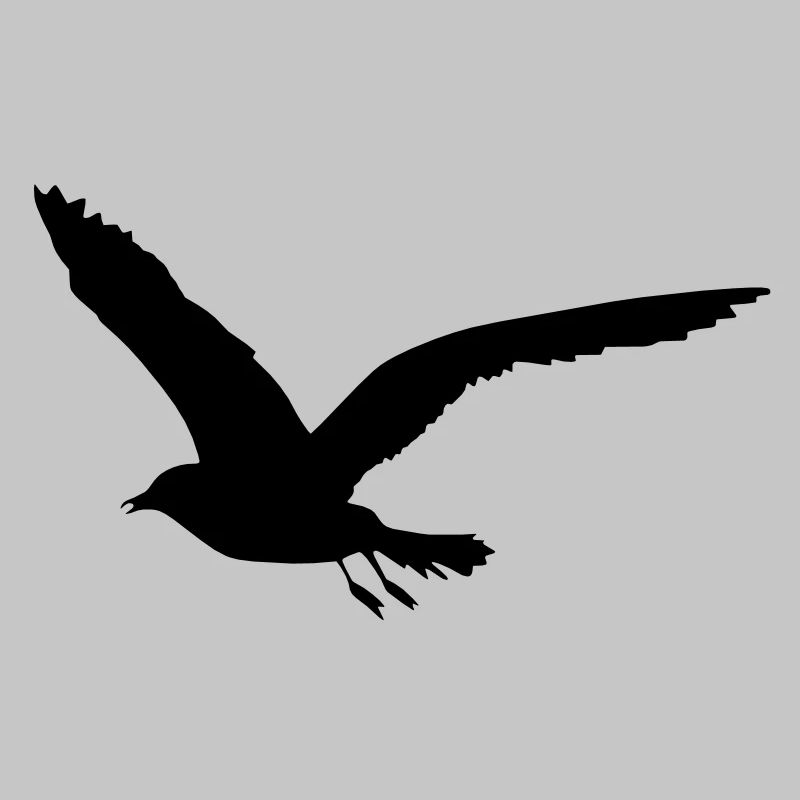 Möwe