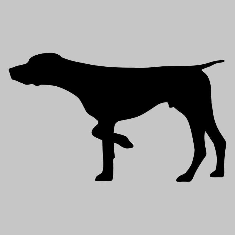 Jagdhund Deutsch Kurzhaar