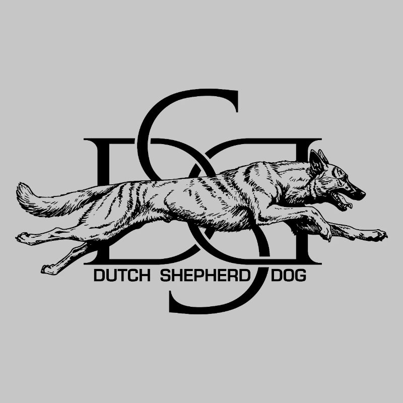 Dutchie - Holländischer Schäferhund