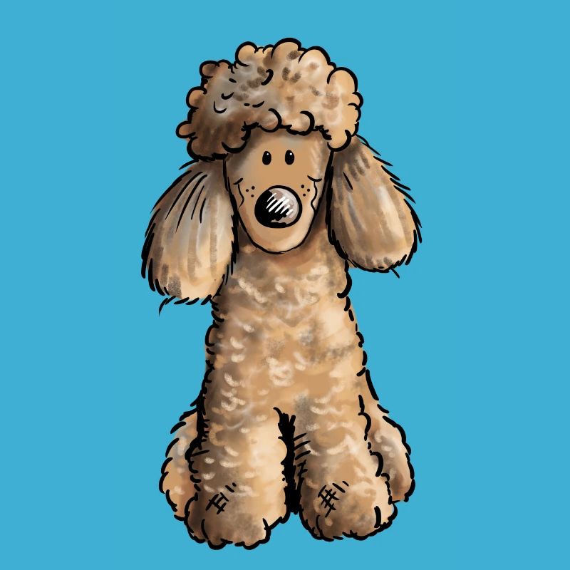 Mignon Caniche - Chien - Chiens