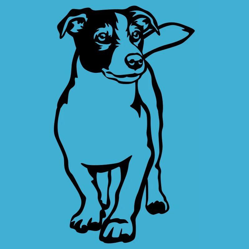 Jack Russell Terrier