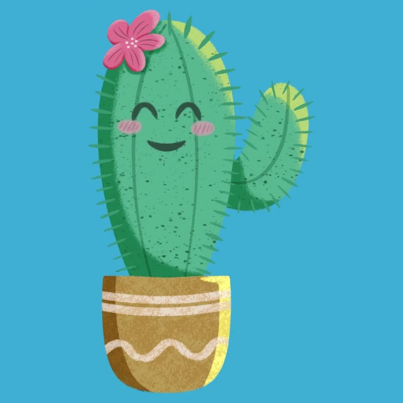 Cactus mignon avec fleur