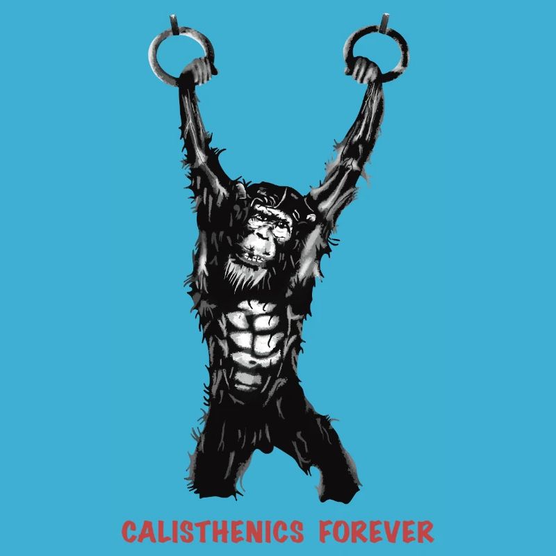 Calisthenics Evolution - Gymnastikringe