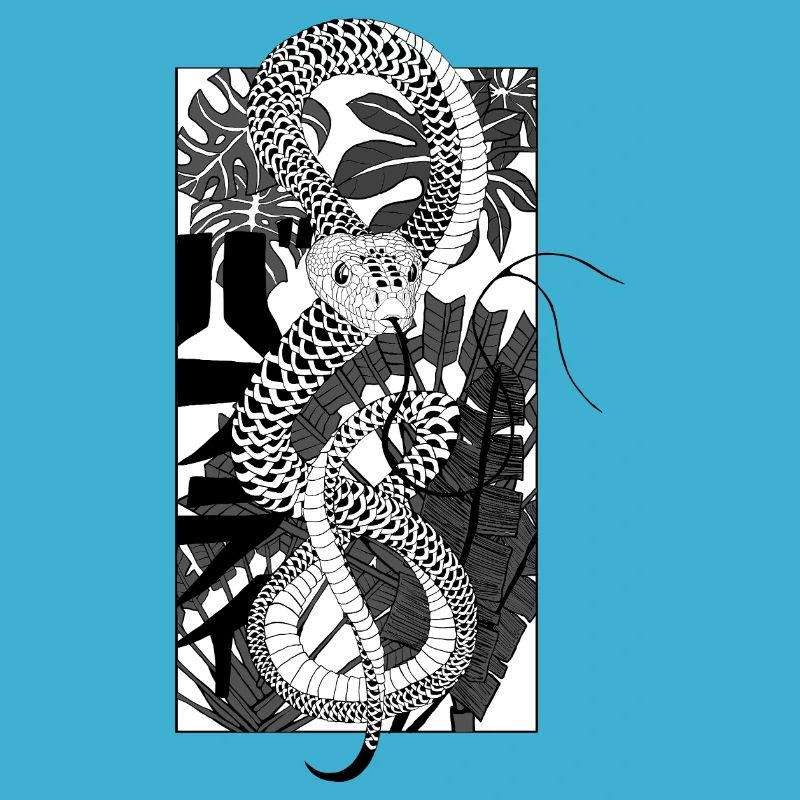 Snake 2
