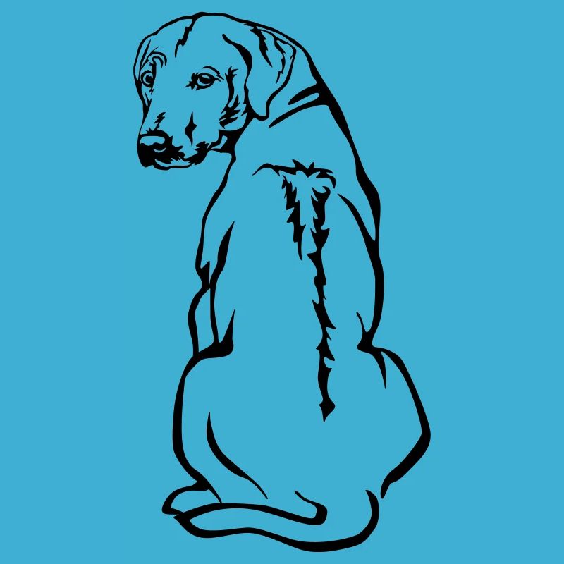 Rhodesian Ridgeback