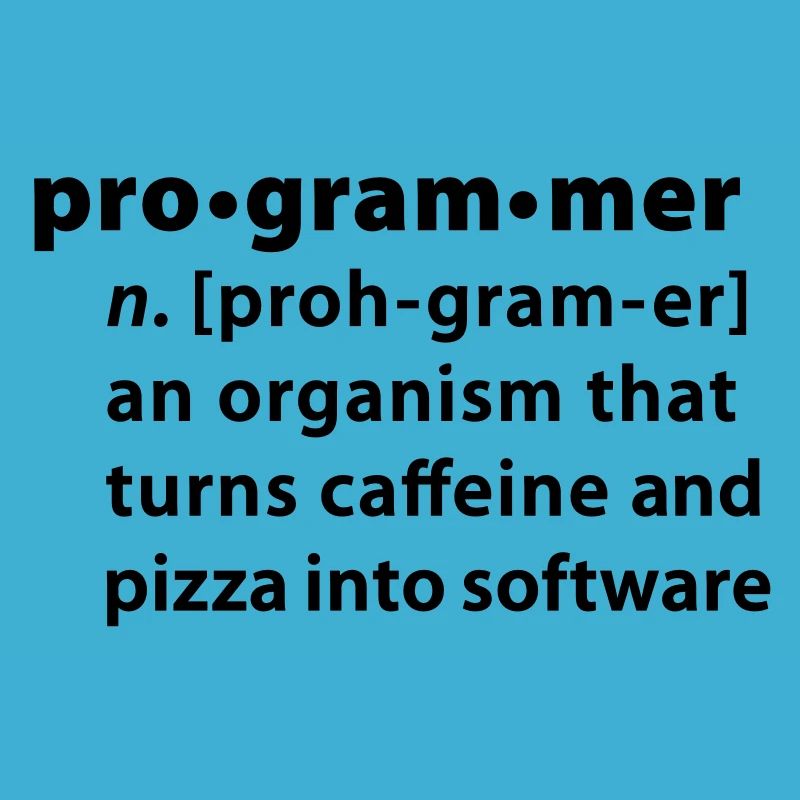 Programmer Wörterbuchdefinition