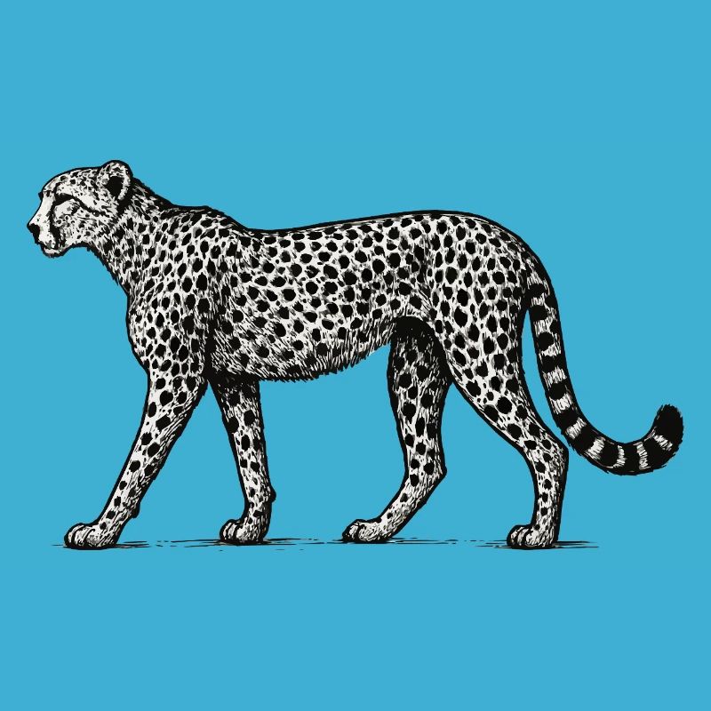 Black and White Leopard Pattern
