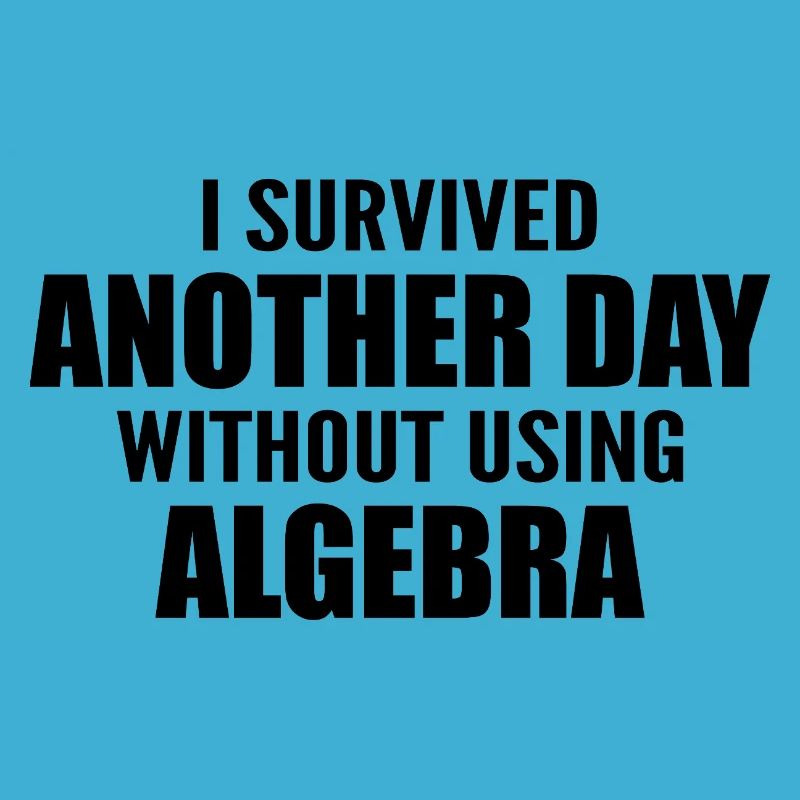 I survived without doing algebra today