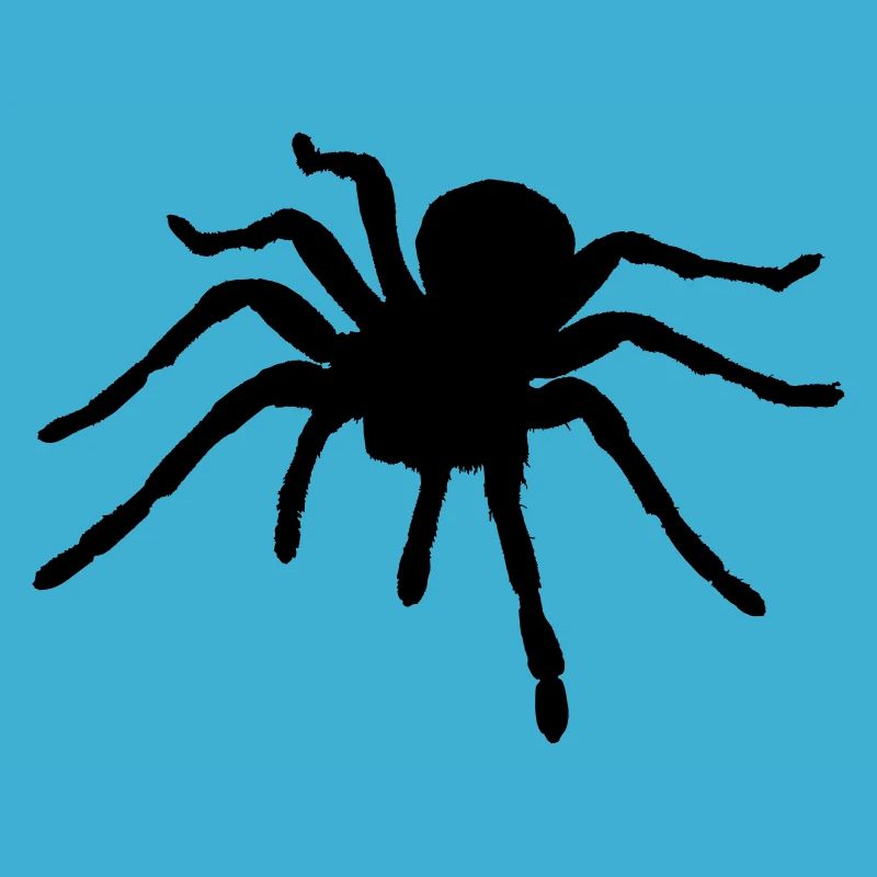 Spider - Araignée - Ragno - Araña