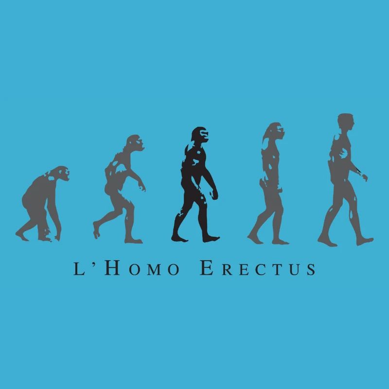 Evolution der menschlichen Haltung